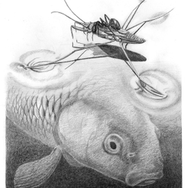 Иллюстрация к сказке В. Бианки "Как Муравьишка домой спешил"