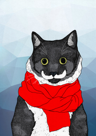 Hamilton the Hipster cat