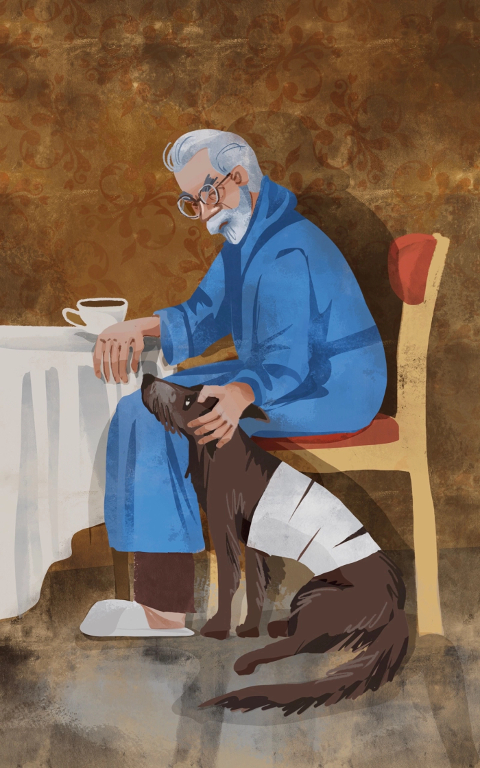 Иллюстрация к повести "Собачье сердце", М. А. Булгакова