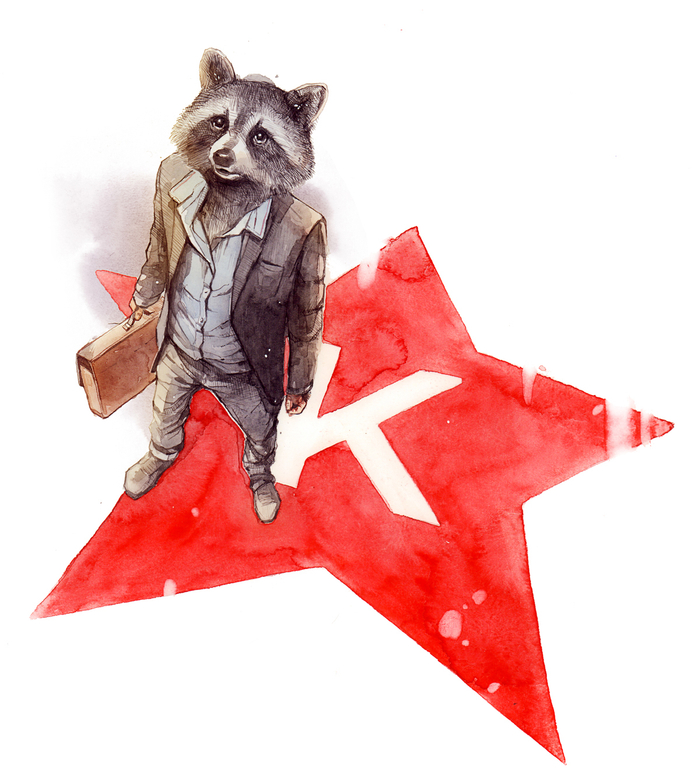 Енот для KOKOC GROUP