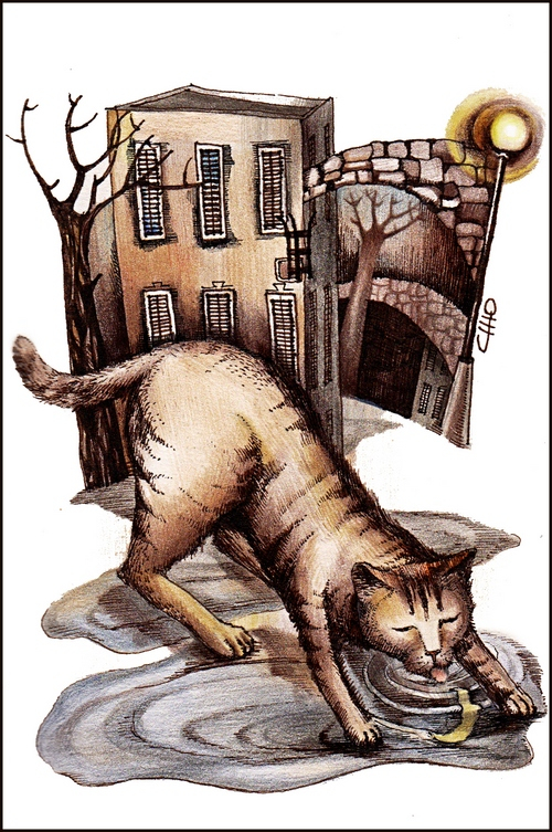 Лунный воришка