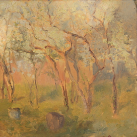 Цветущие вишни