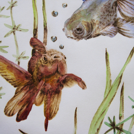 Золотая рыбка