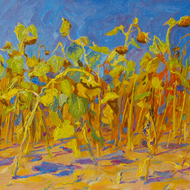 Подсолнухи