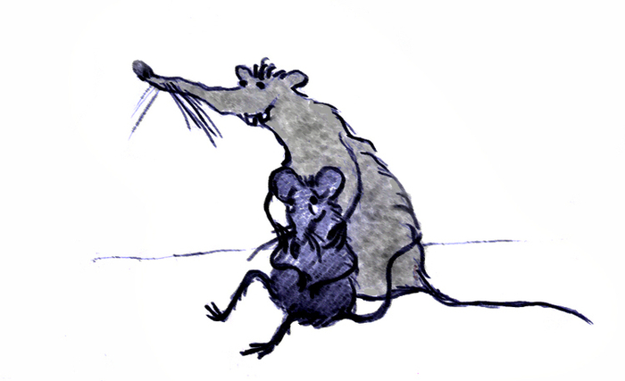 Весёлая мышь и её товарищ.