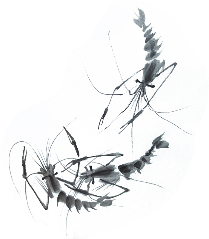 Три креветки