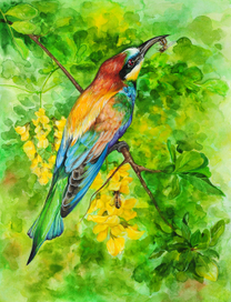 Щурка золотистая