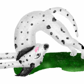 Йога с весёлыми животными