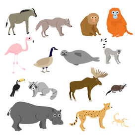 Животные. Иллюстрации для детских пособий.