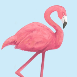 Фламинго 