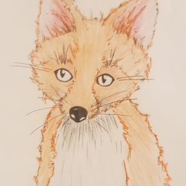 Лисенок🦊