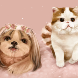 "Очаровательное непонимание"