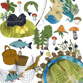 иллюстрации для детской книги о Карелии