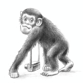 Пойду пофотаю