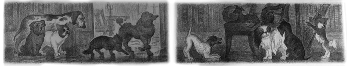 Бал. Иллюстрация к роману Э. Т. А. Гофмана "Житейские воззрения кота Мурра"