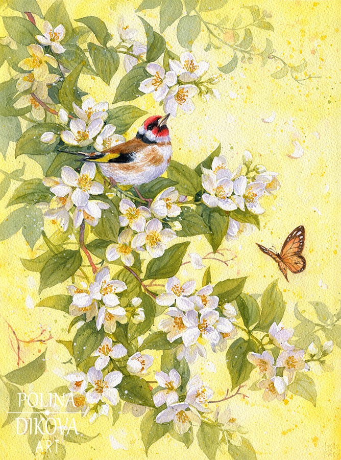 Солнечное утро с запахом жасмина