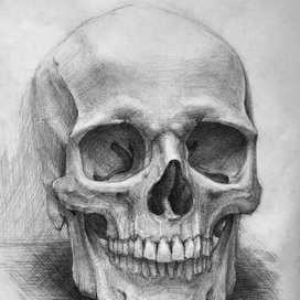 skull