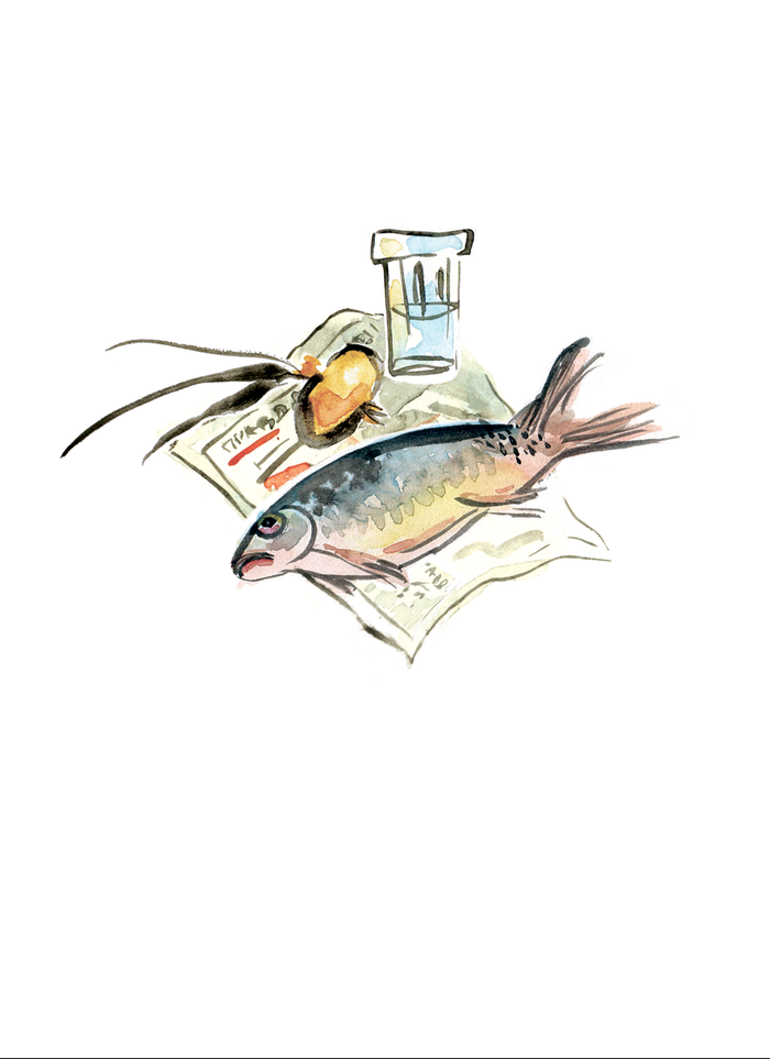 Эта рыба пила