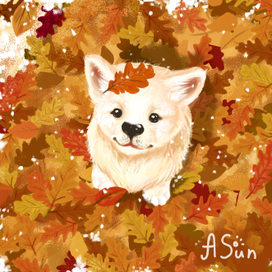 Щенок и листопад