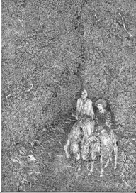 неизвестные путники