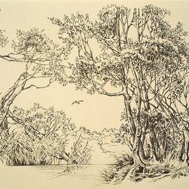 Пейзаж у реки