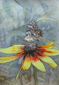 Бабочка репейница