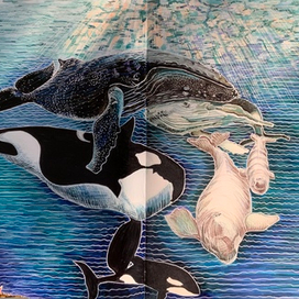 Спасите китов!