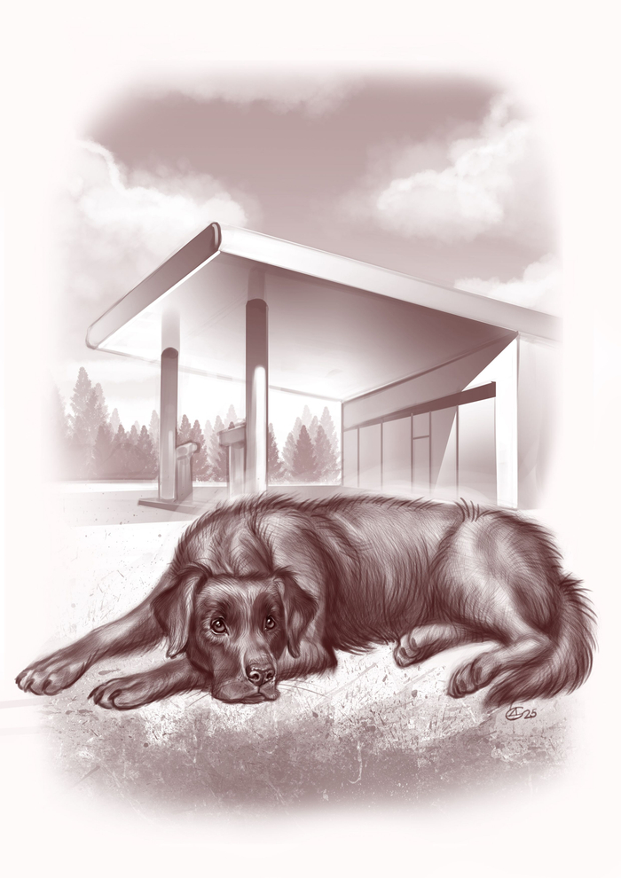 Иллюстрации к книге Евгения Чертовских "Лучший подарок"  ЧАК