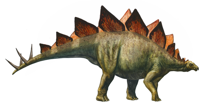 Персонажи Stegosaurus (динозавры)