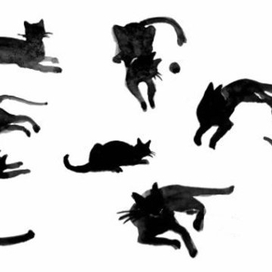 кошачьи настроения