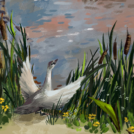 Гадкий утёнок