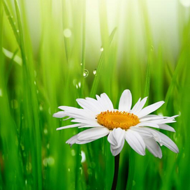 Казино 777: Знакомство с Легендой Азартных Развлечений