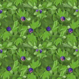 Бесшовный принт Инжир