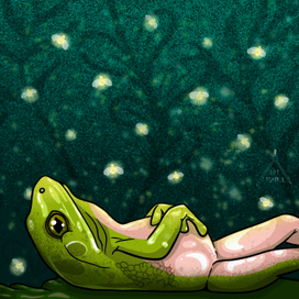 Жабка отдыхает