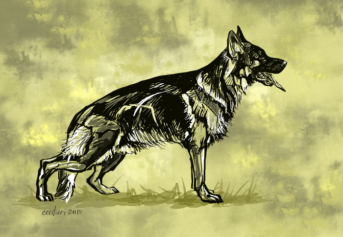 Waiko von der Zenteiche