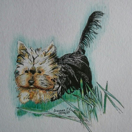 Пикси. Начало. :-)