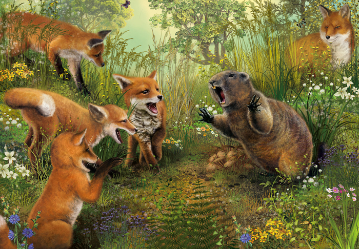 лиса из спрингфилда