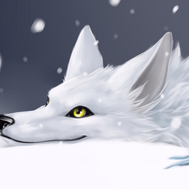 Волчица Арктика