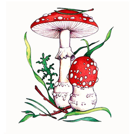 Мухомор. Развивающая раскраска по образцу