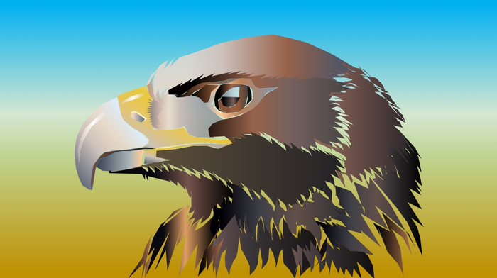 Иллюстрация. Орёл.