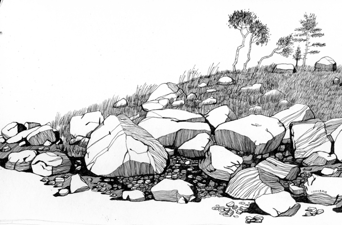 Камни Соловецкие (фрагмент).