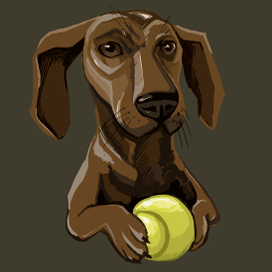 Поиграй со мной друг