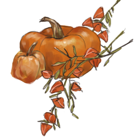 Тыквы и физалис