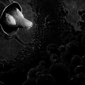 (без названия)