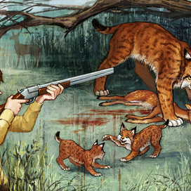 the boy and the lynx 2