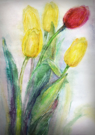 Тюльпаны