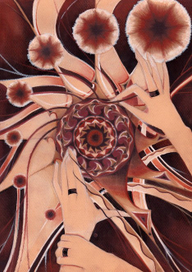 У шамана три руки