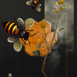 «Медовый цветок»