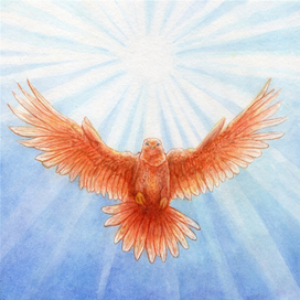 Феникс. Иллюстрация к марафону "пернатый арт". 20х20см