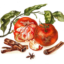 Новогодняя открытка в стиле ботанической акварели